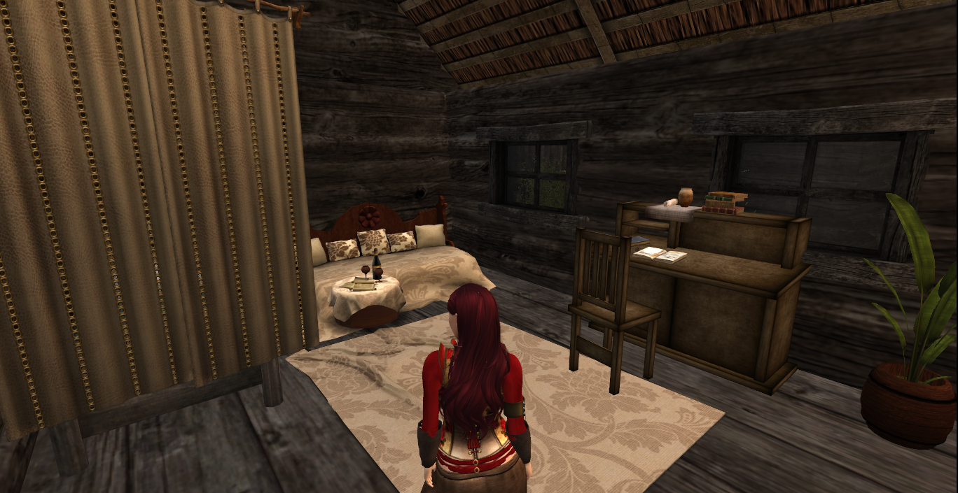A wanderer Returns in SecondLife